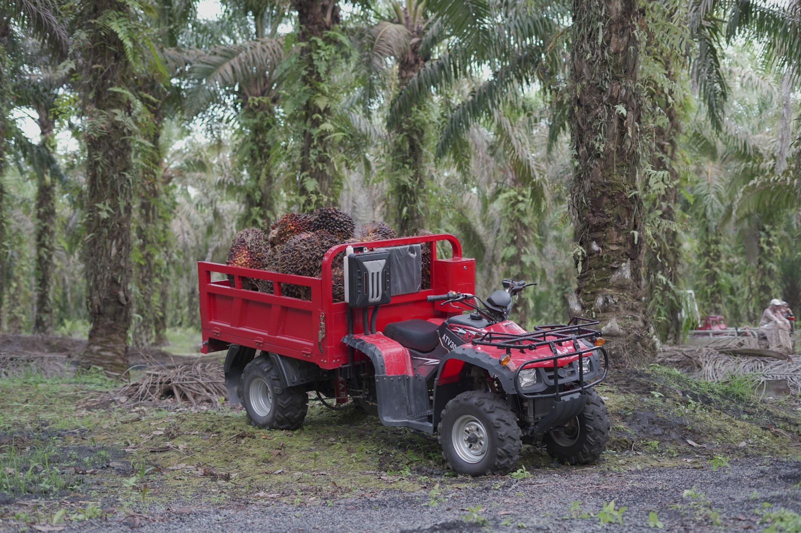 Viar ATV VXT 300: Kendaraan Terbaik untuk Pemula Berbisnis